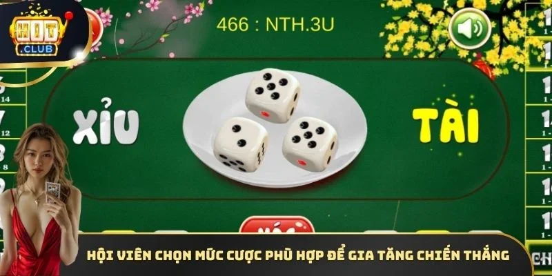 Hội viên chọn mức cược phù hợp để gia tăng chiến thắng