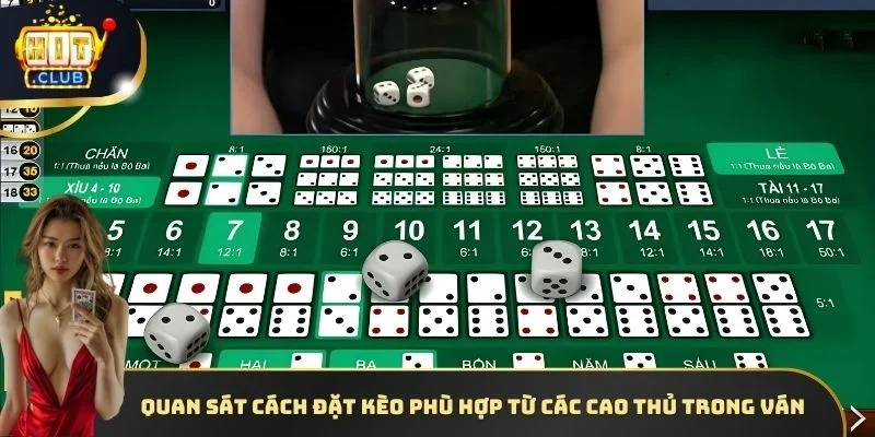 Quan sát cách đặt kèo phù hợp từ các cao thủ trong ván